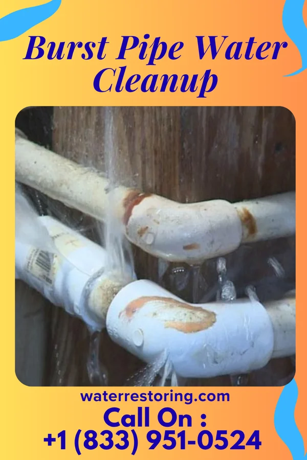 Burst Pipe Water Cleanup in Richmond Heights, OH