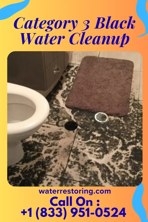 Category 3 Black Water Cleanup in Richmond Heights, OH
