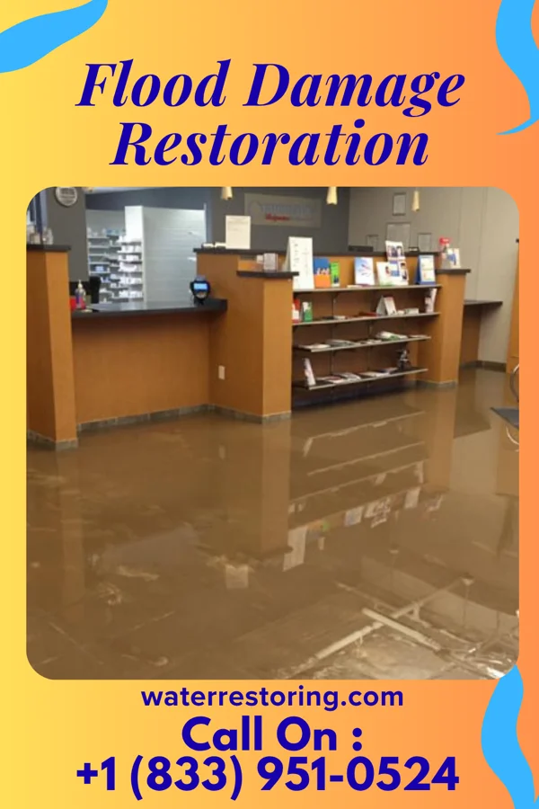Flood Damage Restoration in Richmond Heights, OH