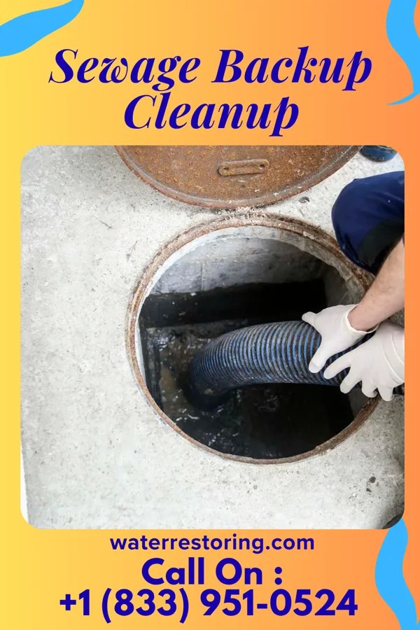 Sewage Backup Cleanup in Richmond Heights, OH