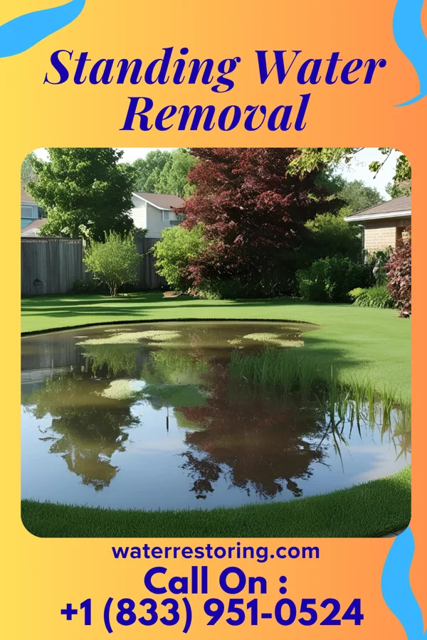 Standing Water Removal in Richmond Heights, OH